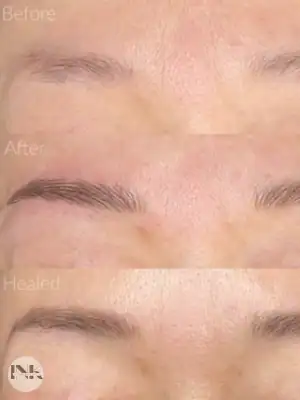 Nano brows Lakeland FL healed result Jourdain Ink